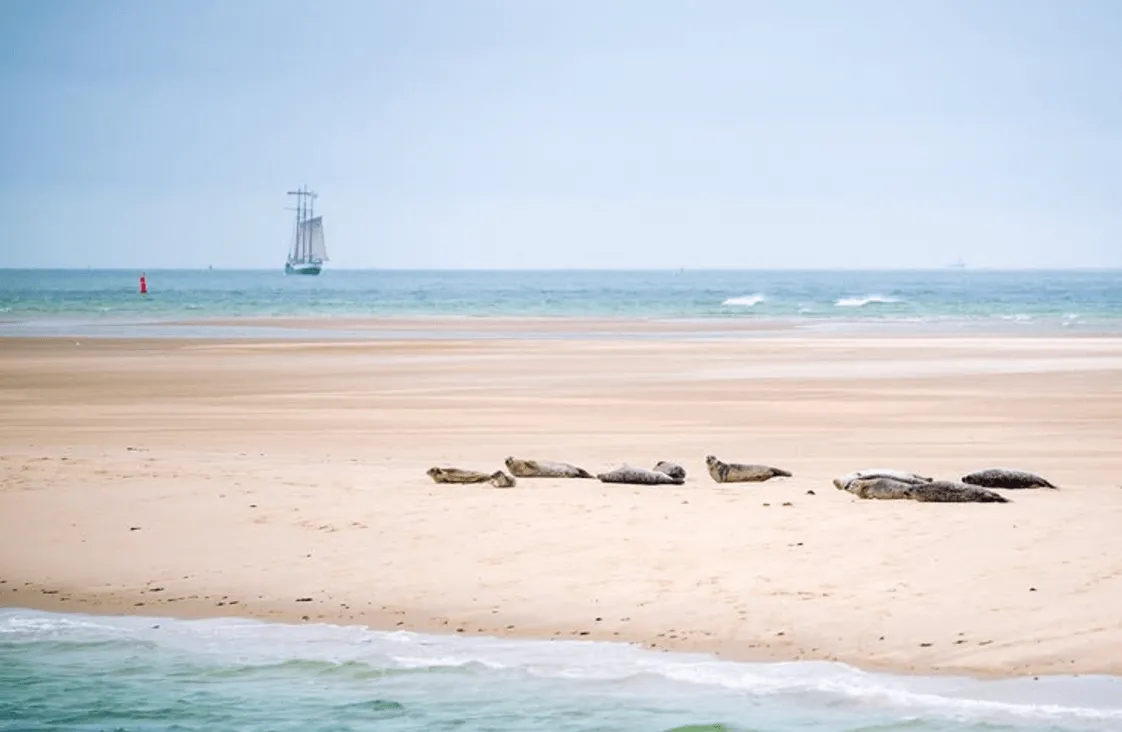 wandelen op texel